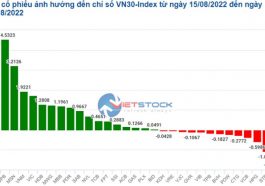 Top co phieu anh huong den Vnindex