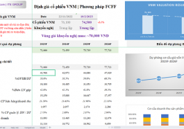 Định giá cổ phiếu VNM Phân tích đầu tư cổ phiếu Vinamilk